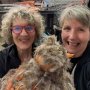 Chicken repair!